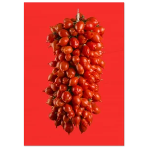 0c0e3492-415d-4d67-b081-b4be7b5b2394