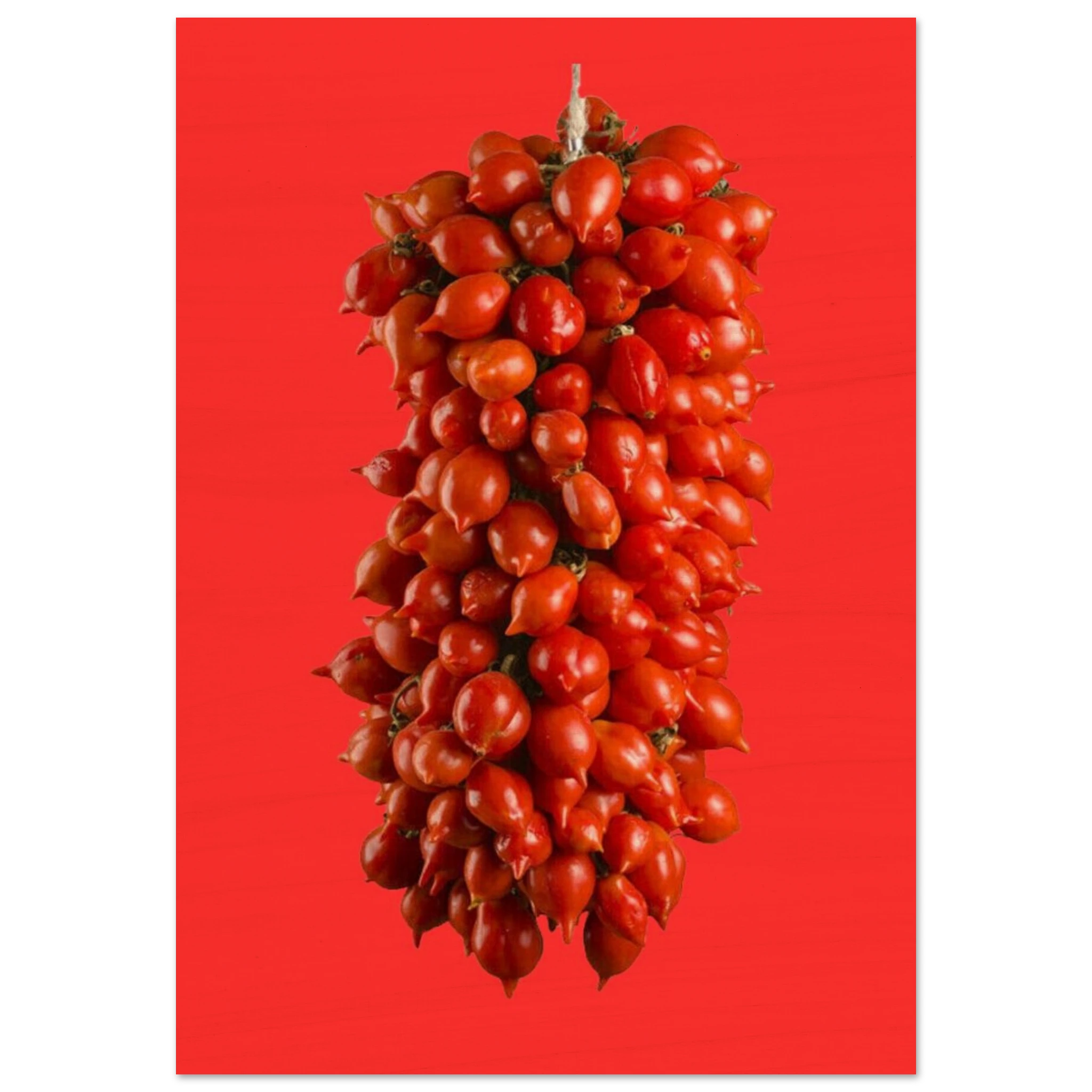 0c0e3492-415d-4d67-b081-b4be7b5b2394