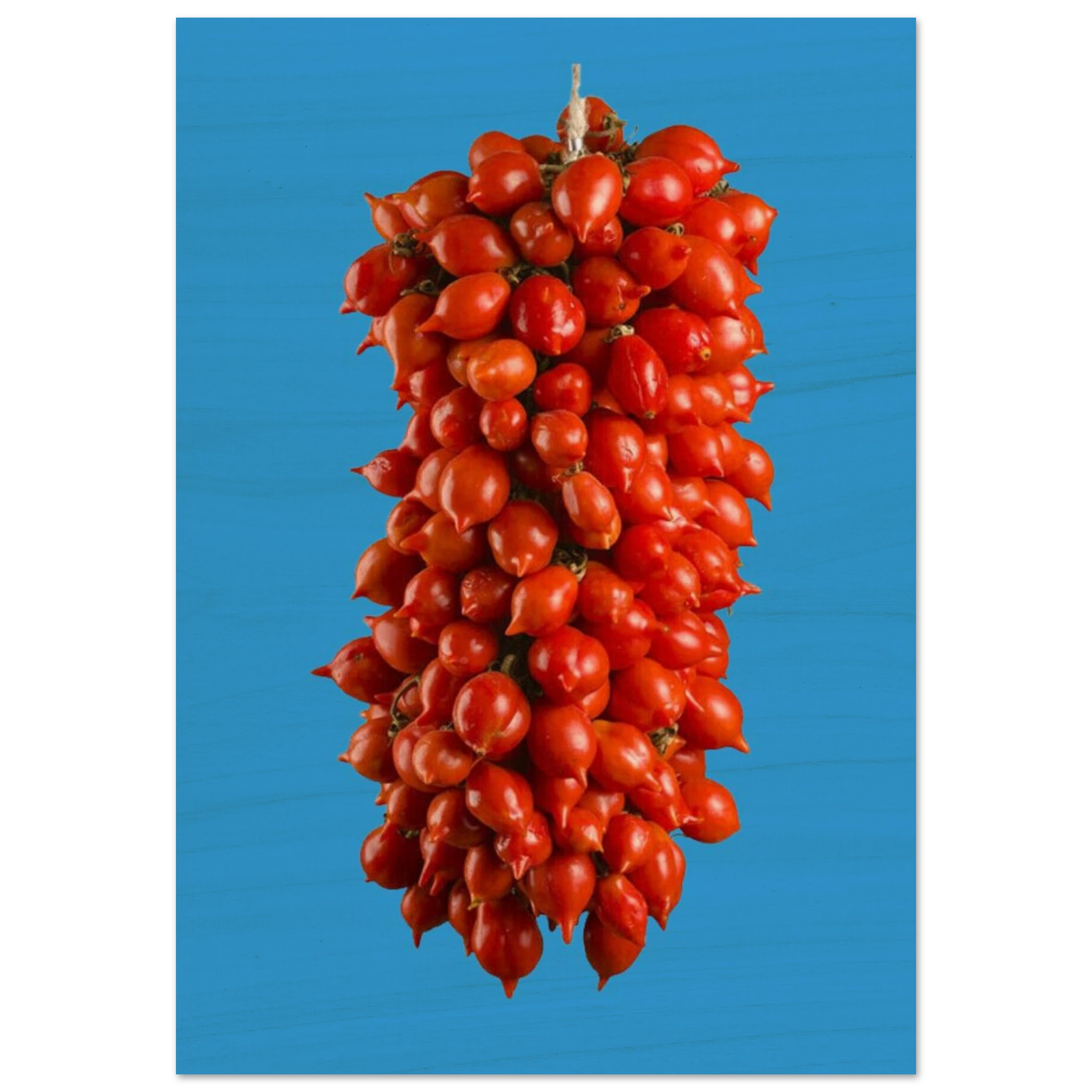 93d7be83-d89b-4446-b42d-0343feddf042