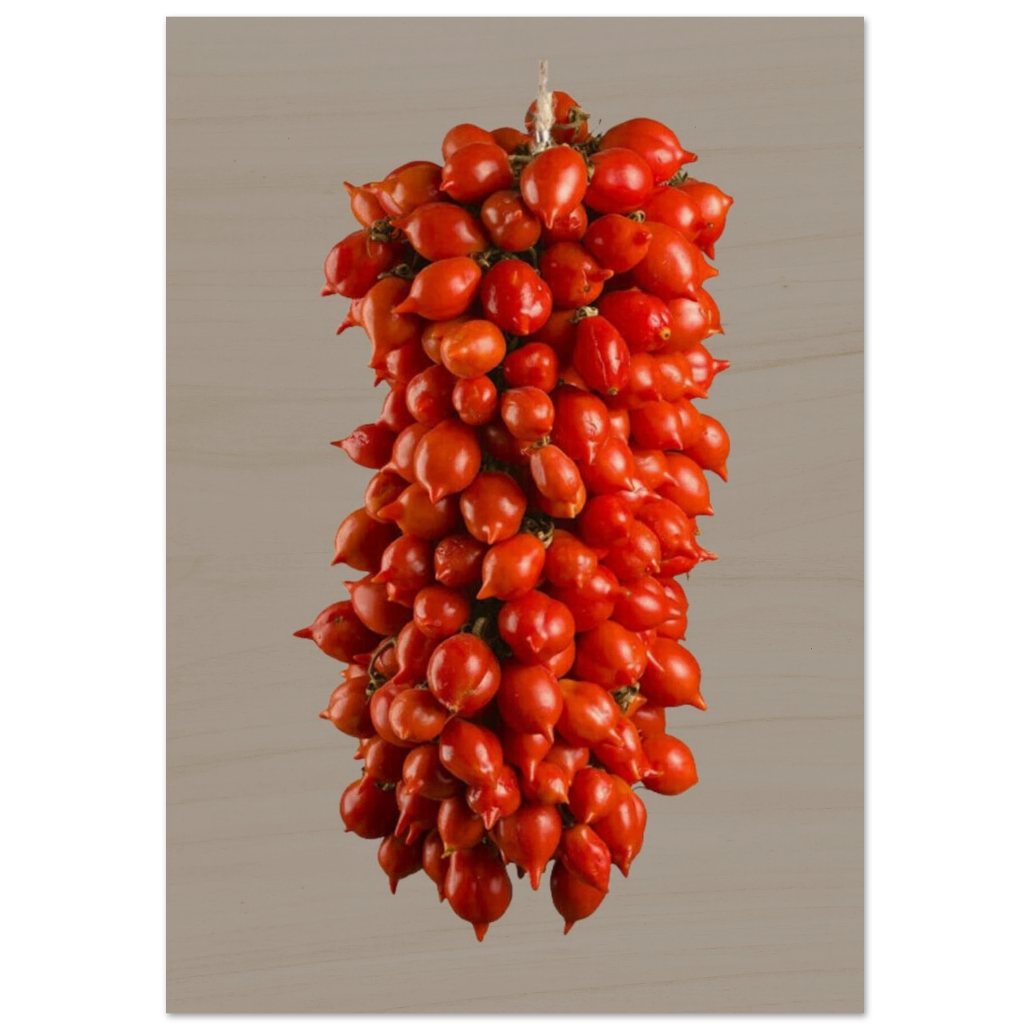 b0d364b3-16e5-4954-b66d-6e02d050e1df