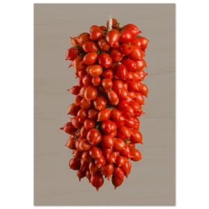 074e7774-8bd6-4cd0-b307-13cb8dc11b94