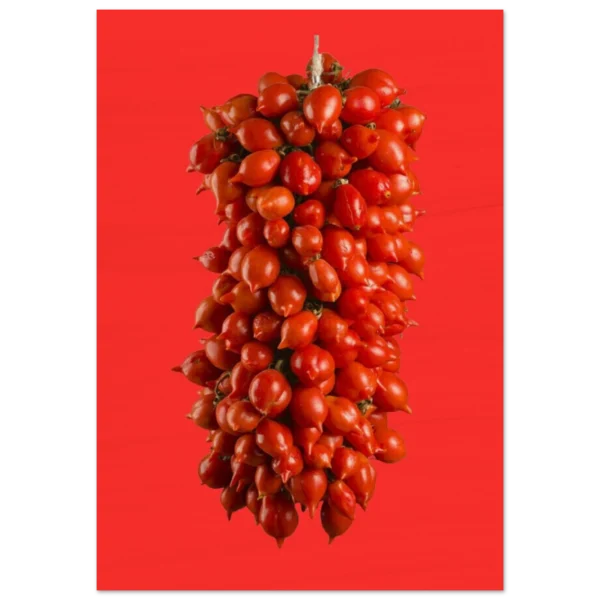 895a4818-903a-407b-aef9-3c0692abdaeb