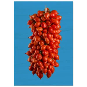 b05a63ab-300a-4eab-a163-7527af69986b