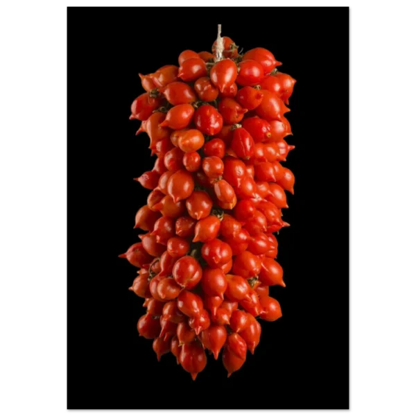 d4b44230-0018-4088-8423-3ed56b4dbed8