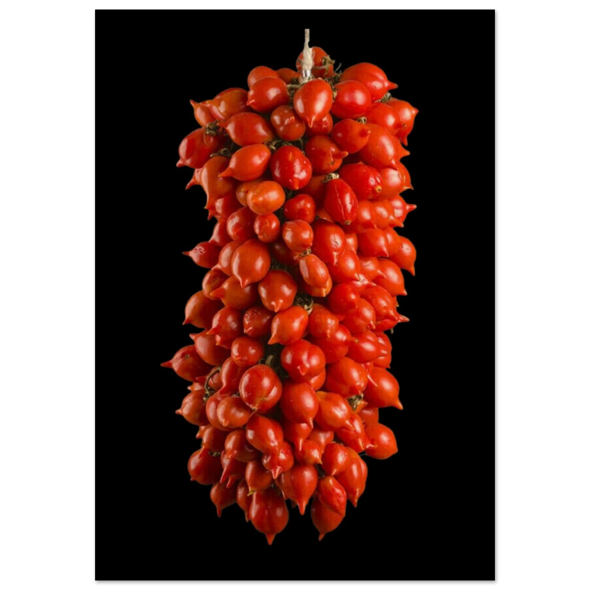 356617c4-758b-4f51-905d-c3ac082b33fd