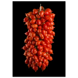 d6b5ec62-8946-412f-9bce-4e8c6bd5b97d