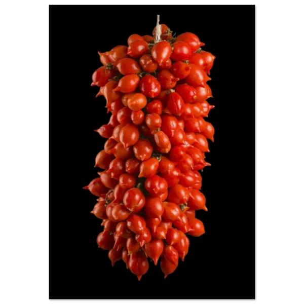 d6b5ec62-8946-412f-9bce-4e8c6bd5b97d